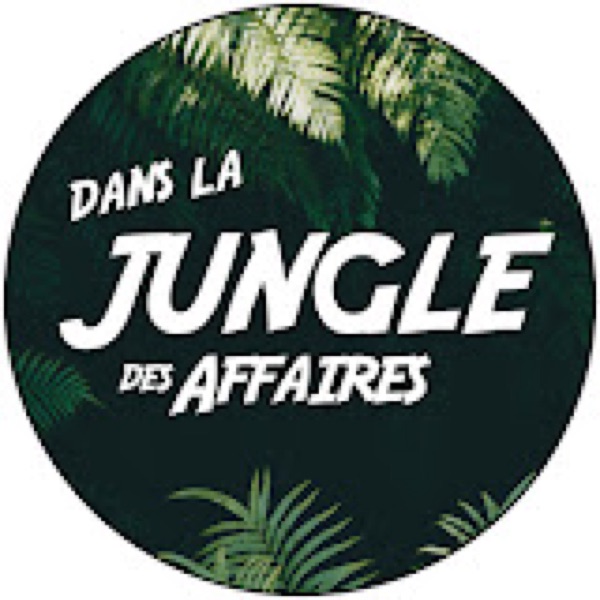 Cover art for the podcast Dans la jungle des affaires