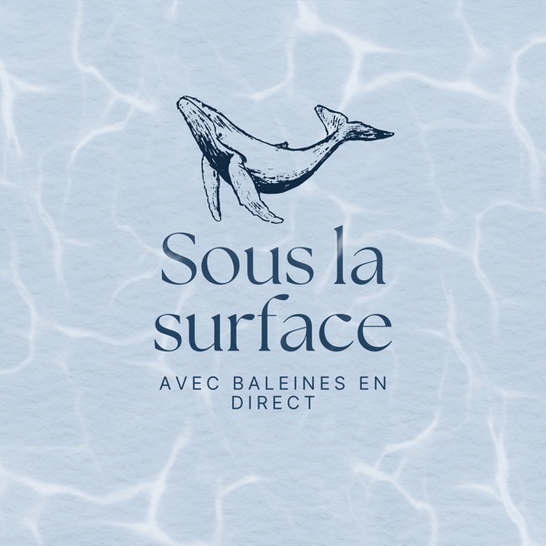Cover art for the podcast Sous la surface